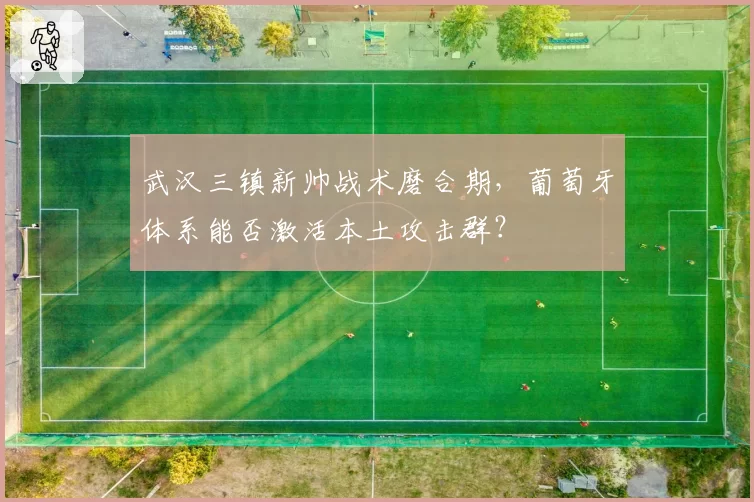 武汉三镇新帅战术磨合期,葡萄牙体系能否激活本土攻击群?