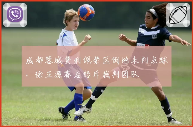 成都蓉城费利佩禁区倒地未判点球，徐正源赛后怒斥裁判团队