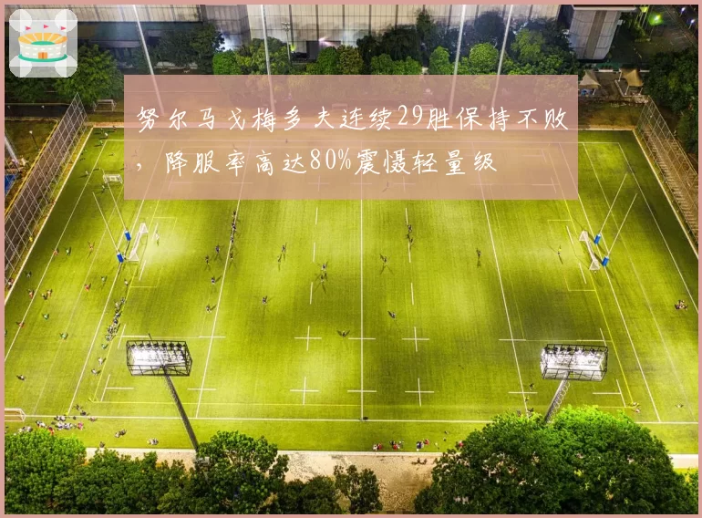 努尔马戈梅多夫连续29胜保持不败,降服率高达80%震慑轻量级