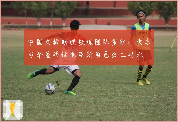 中国女排助理教练团队重组,袁志与李童两位老臣新角色分工对比