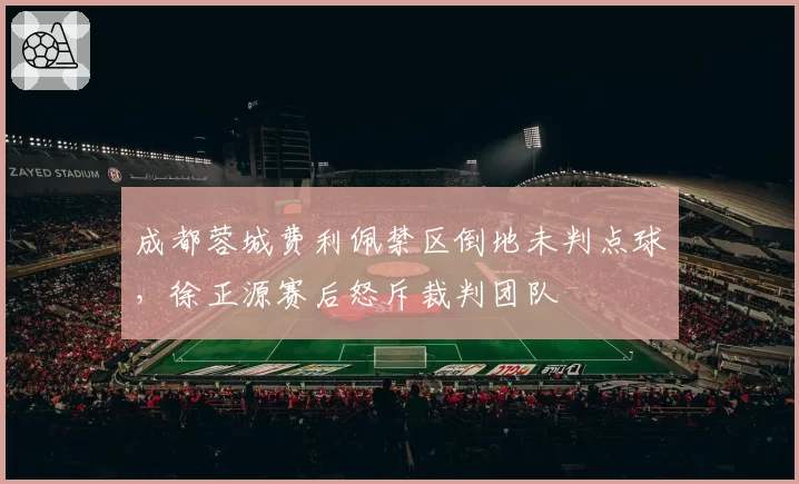 成都蓉城费利佩禁区倒地未判点球，徐正源赛后怒斥裁判团队