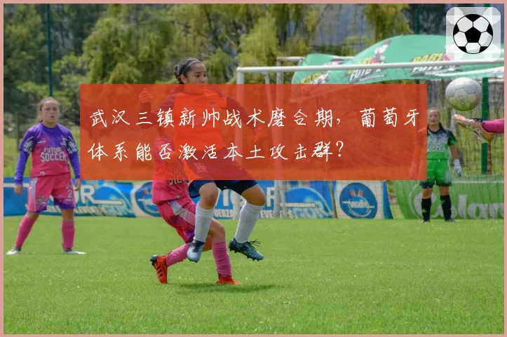 武汉三镇新帅战术磨合期，葡萄牙体系能否激活本土攻击群？